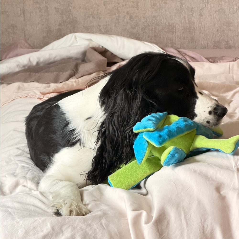 Meet your Posher, Kimber